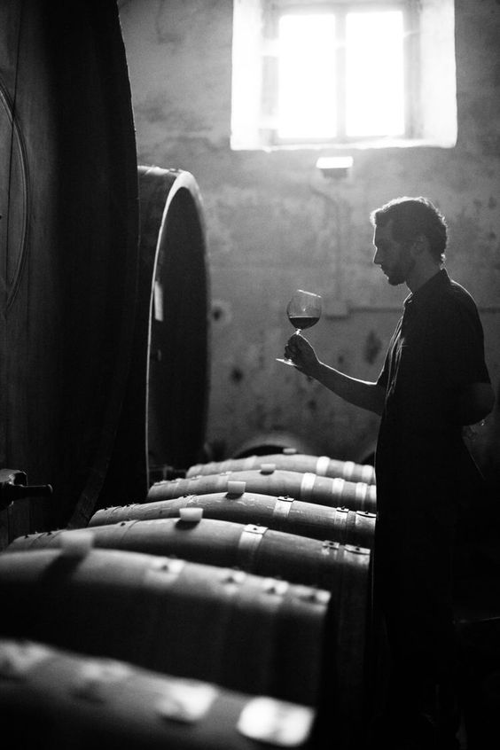 man, glass, wine barrels